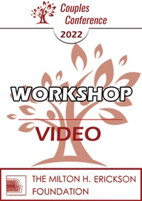 2022 Workshop Video Graphics Not Found