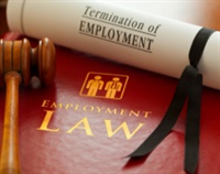 Employment Law 101 Not Found