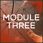 Module 1