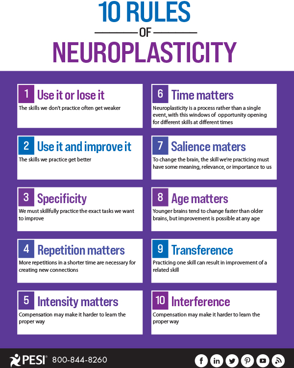 10 Rules of Neuroplasticity Infographic