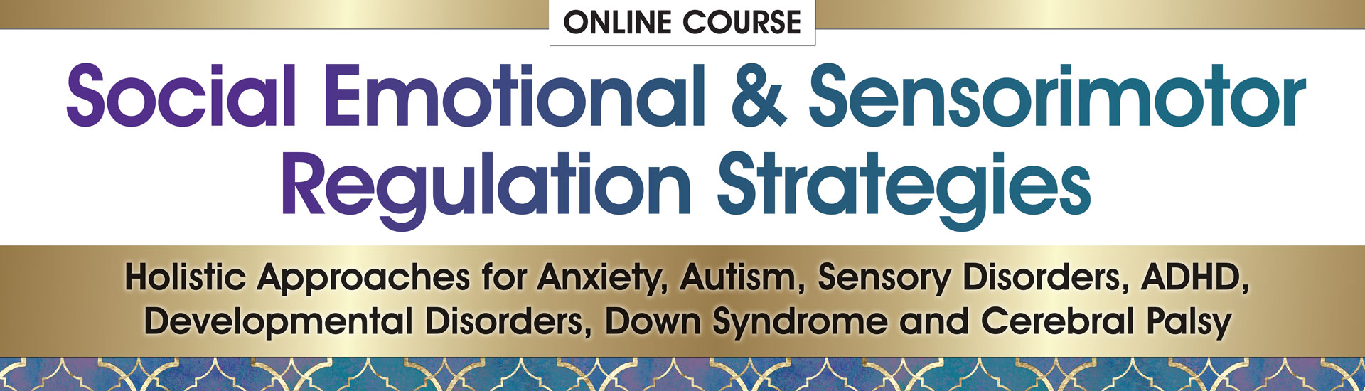 Social Emotional & Sensorimotor Regulation Strategies