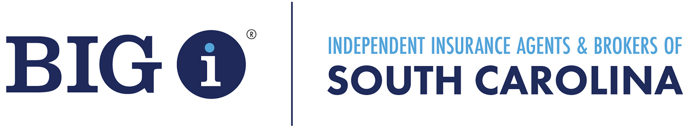 South Carolina Big I Logo