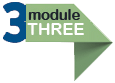 Module 3