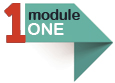Module 1