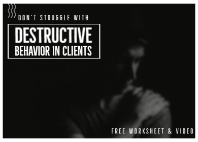 Blog Don’t Struggle with Destructive Behavior in Clients