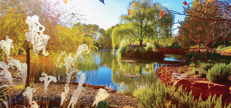 Autumnal lakeside landscape photo at the Sedona Mago Retreat Center