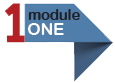 Module 1