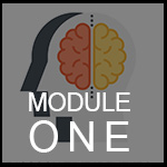 Module 1