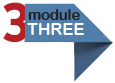 Module 3
