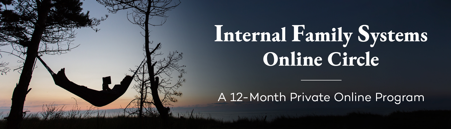 IFS Online Circle