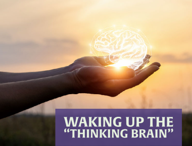 Waking Up The Thinking Brain