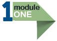 Module 1