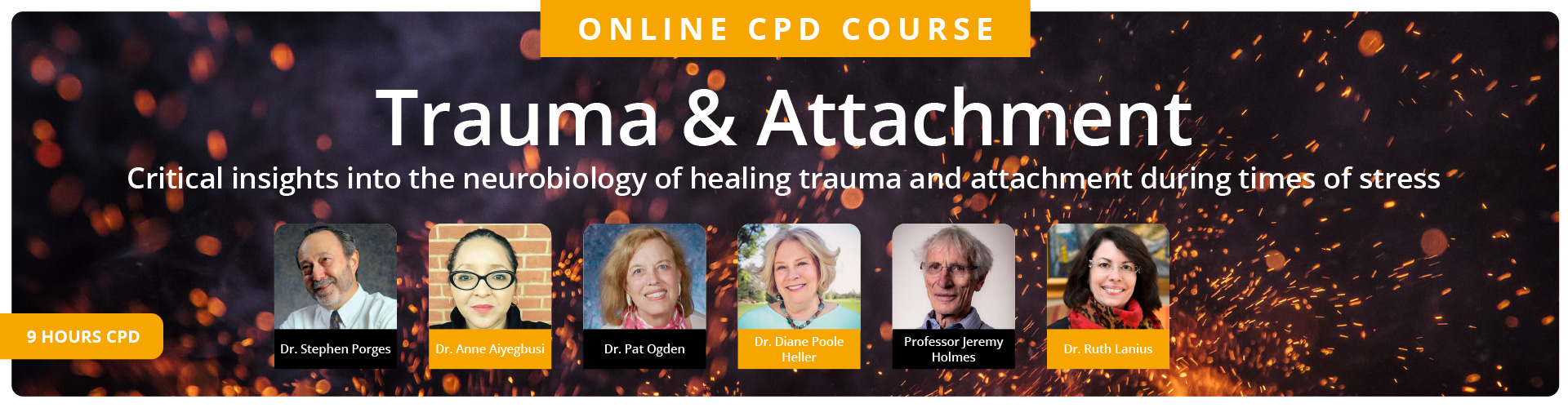 Trauma & Attachment: Critical insights into the neurobiology of healing trauma and attachment during times of stress 