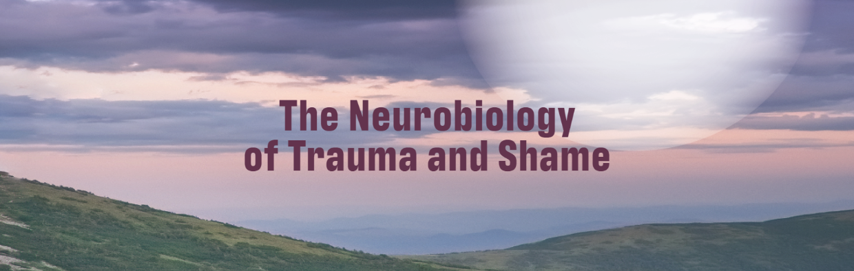 Blog The Neurobiology of Trauma and Shame