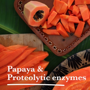 Medicinal Recipes